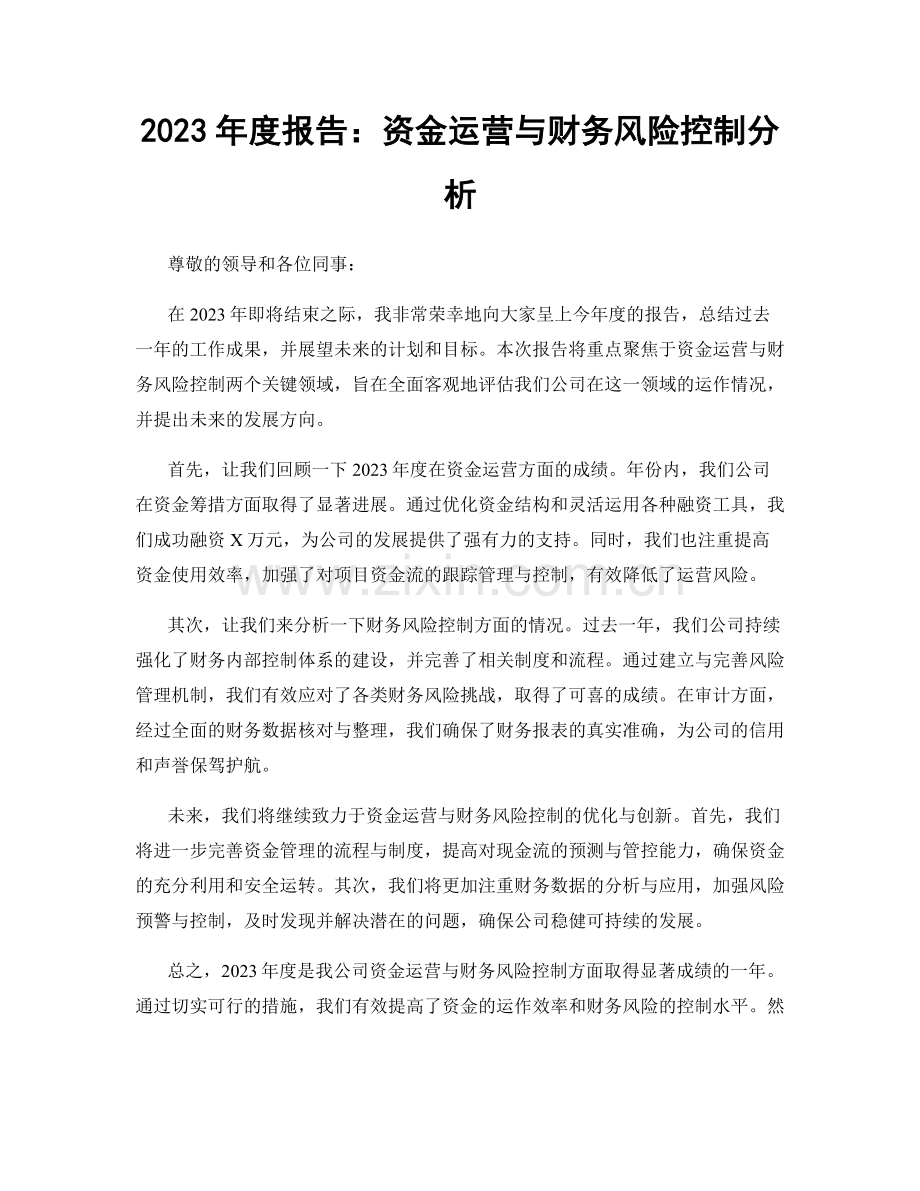 2023年度报告：资金运营与财务风险控制分析.docx_第1页