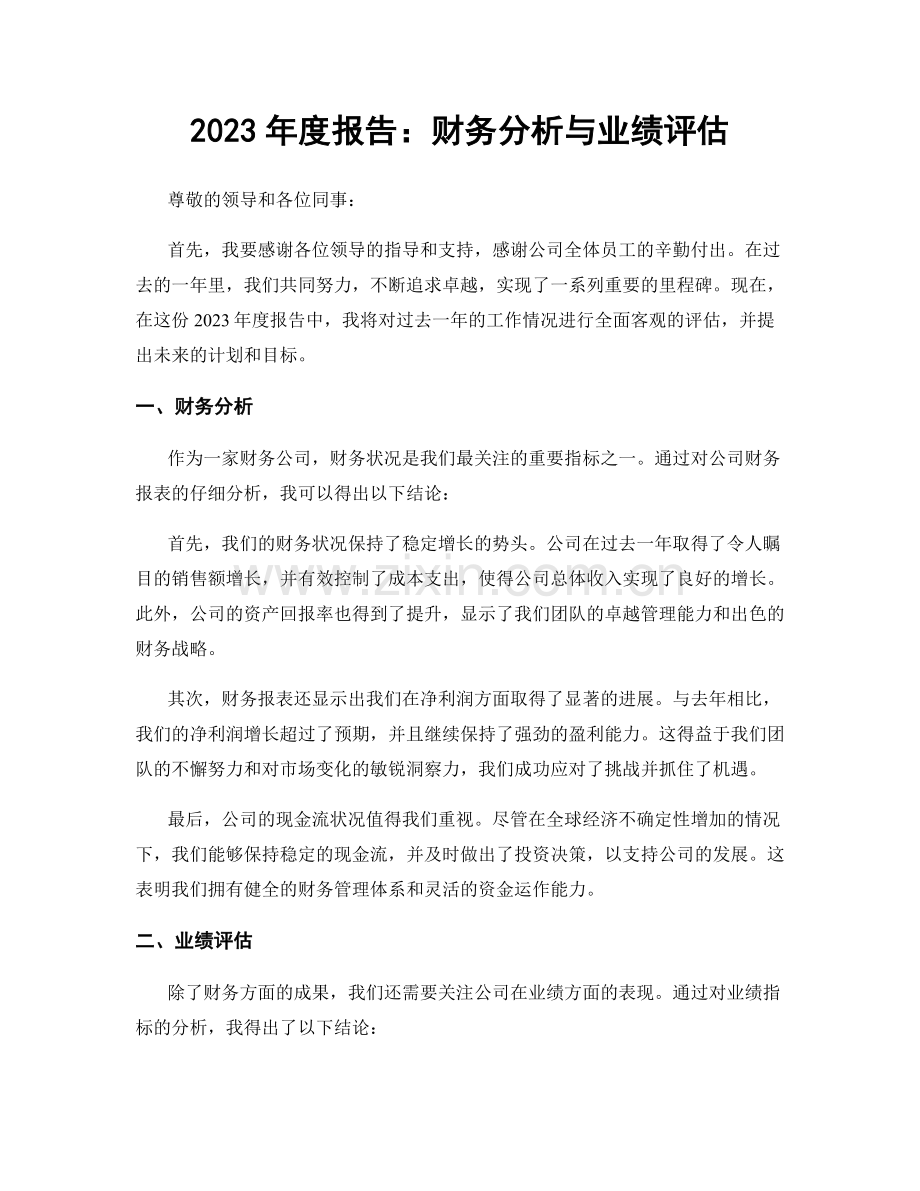 2023年度报告：财务分析与业绩评估.docx_第1页