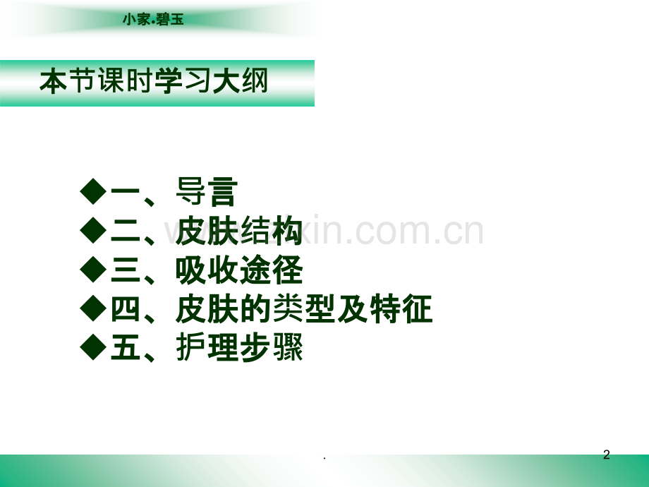 皮肤护理BH培训部.ppt_第2页