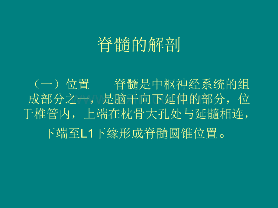 脊髓病变4.ppt_第2页