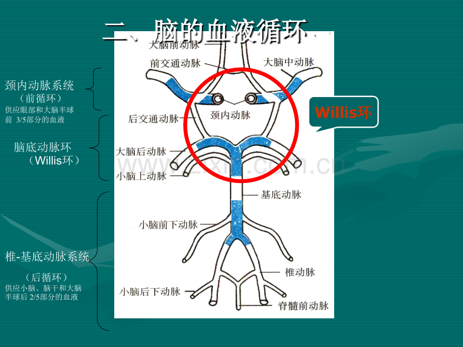 脑血管病的护理.ppt_第3页