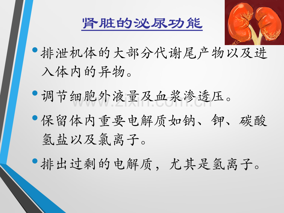 肾功能衰竭的护理.ppt_第2页