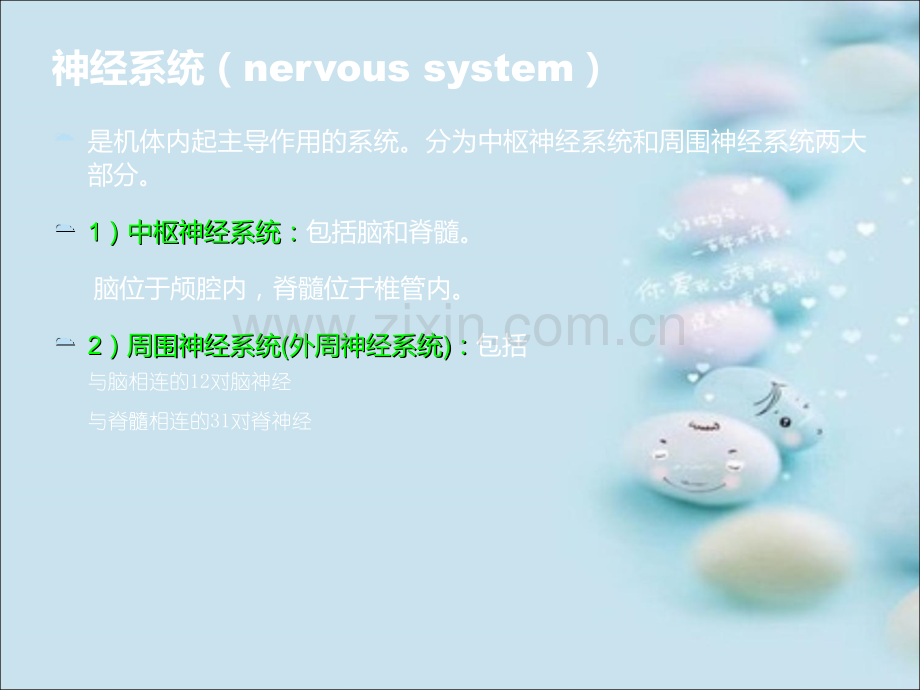 神经系统病理.ppt_第3页