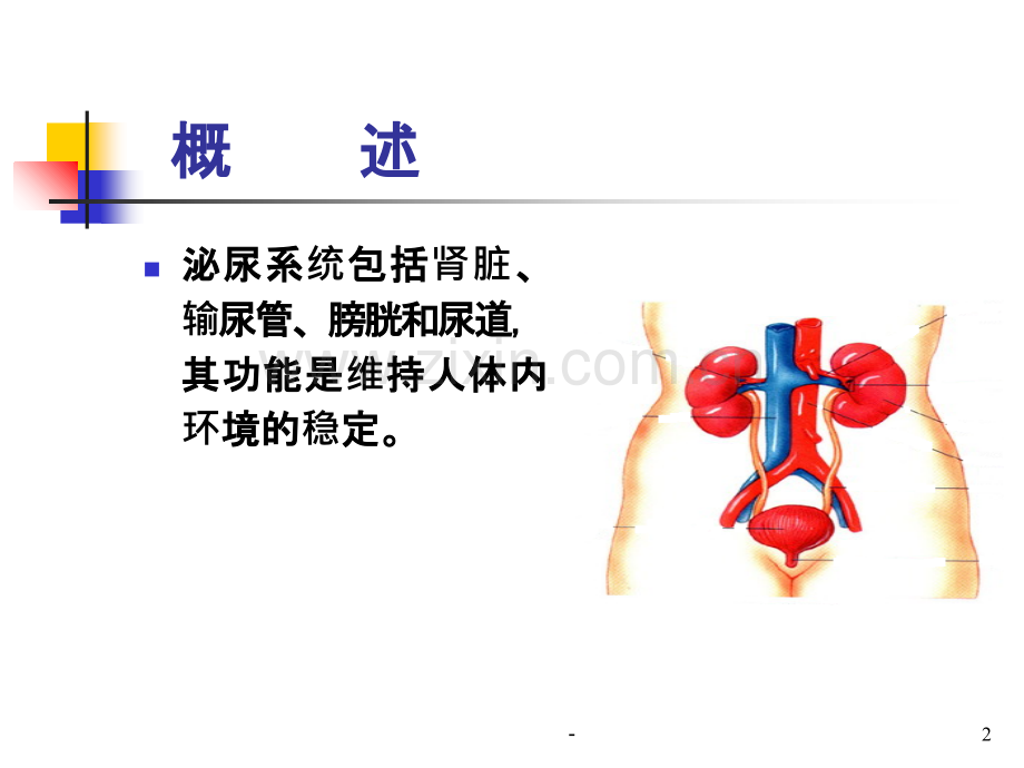 肾功能衰竭的水电解质管理.ppt_第2页