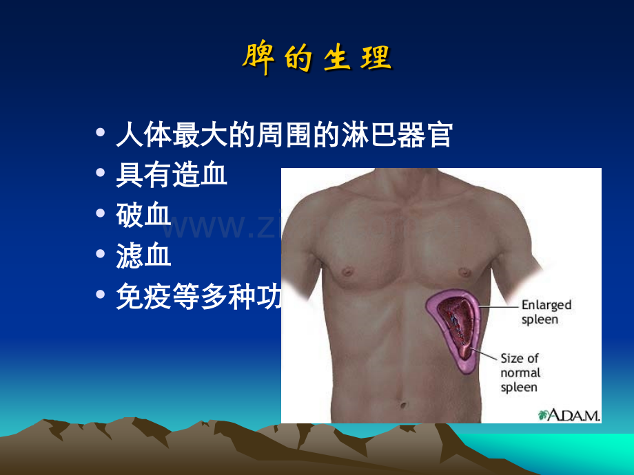 脾脏疾病影像学检查及诊断.ppt_第3页