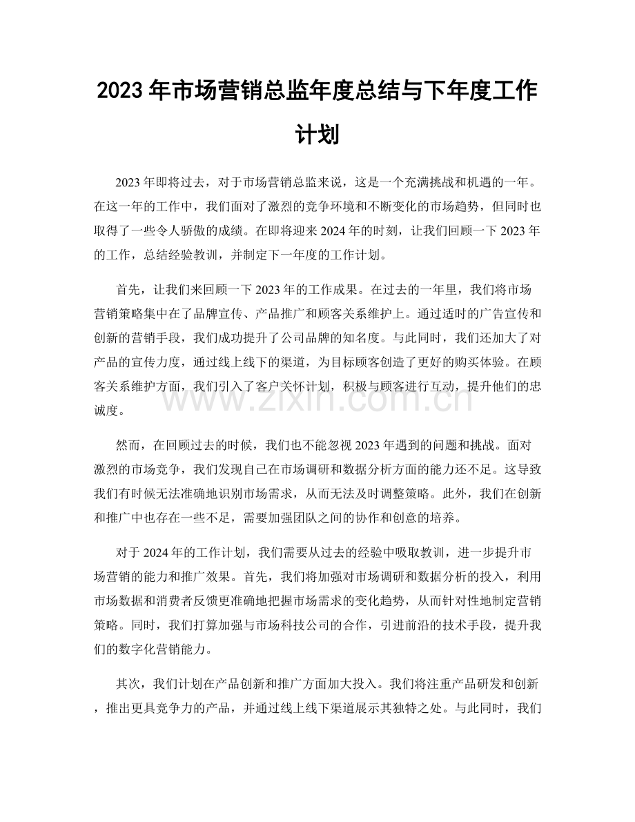 2023年市场营销总监年度总结与下年度工作计划.docx_第1页