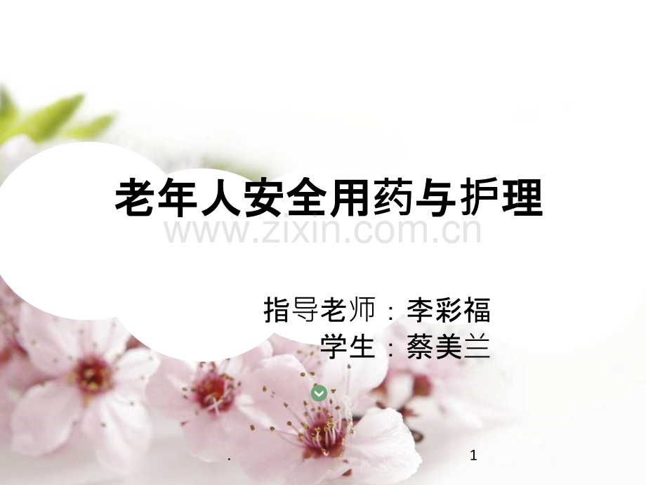 老年人安全用药与护理PPT课件.ppt_第1页