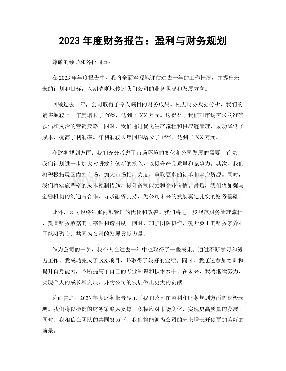 2023年度财务报告：盈利与财务规划.docx_第1页