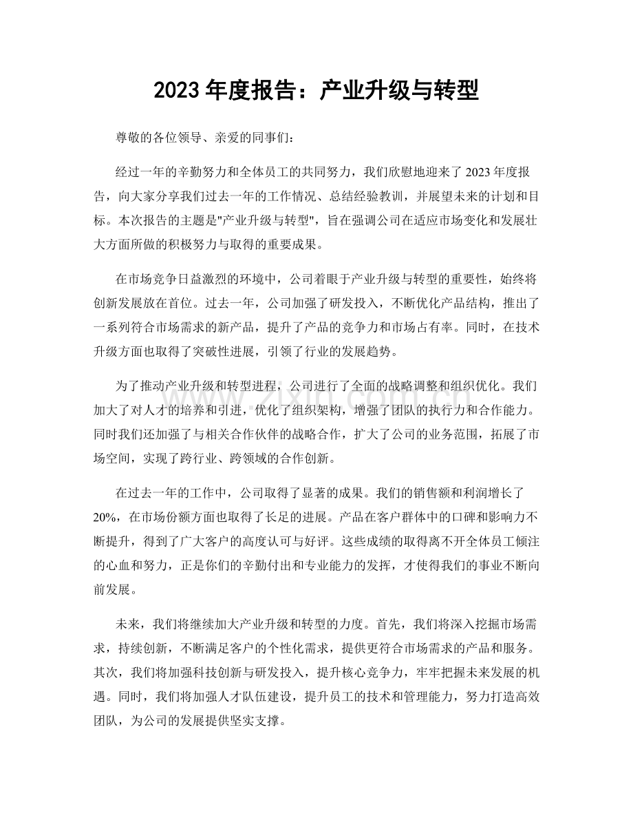 2023年度报告：产业升级与转型.docx_第1页