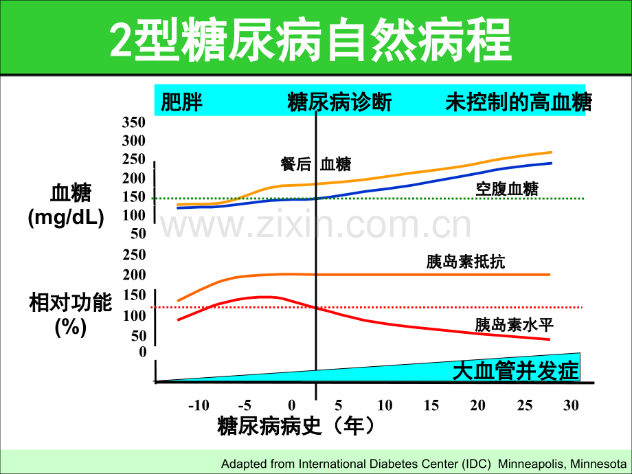 型糖尿病药物联合治疗的实施策略.pptx_第2页