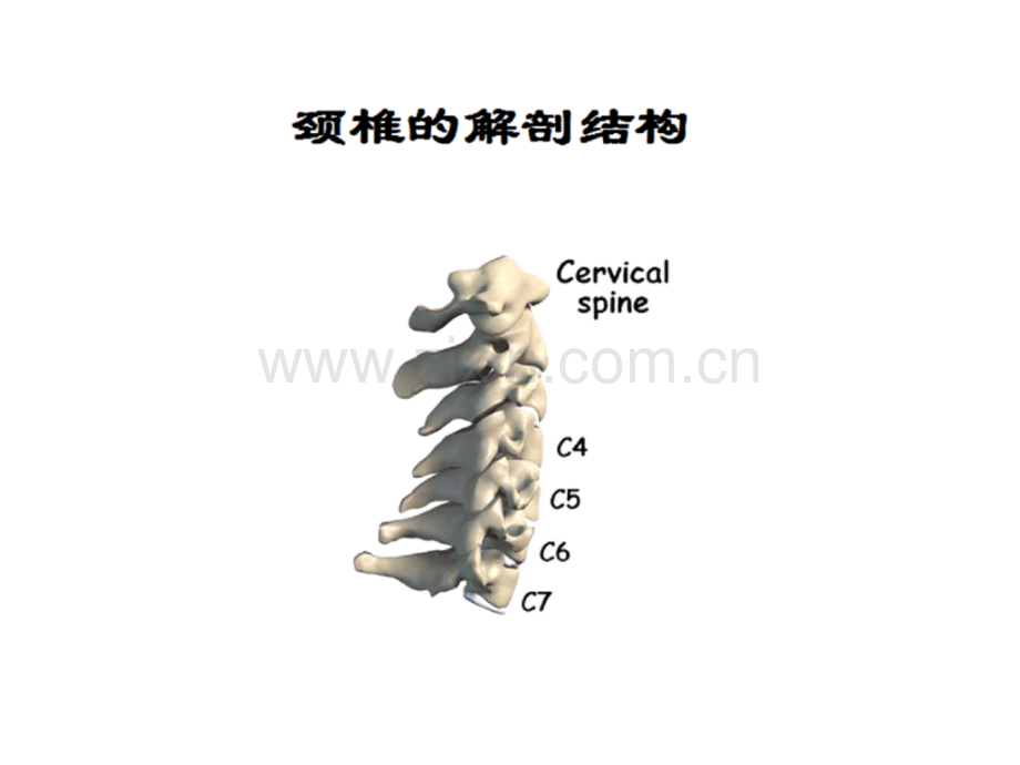 专家图解颈椎病的预防与保健.pptx_第1页