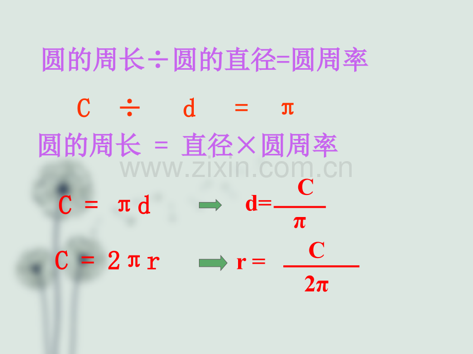 圆的周长复习.pptx_第3页