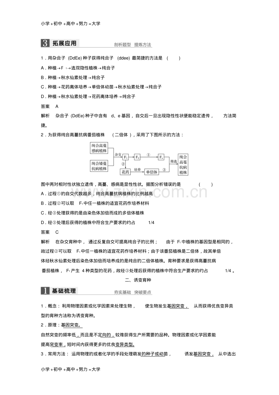 高中生物第六章从杂交育种到基因工程第1节杂交育种与诱变育种教学案新人教版必修2.pdf_第3页