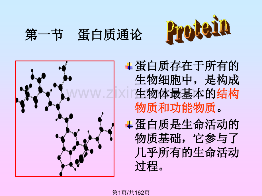 蛋白质组成成分和氨基酸.pptx_第1页