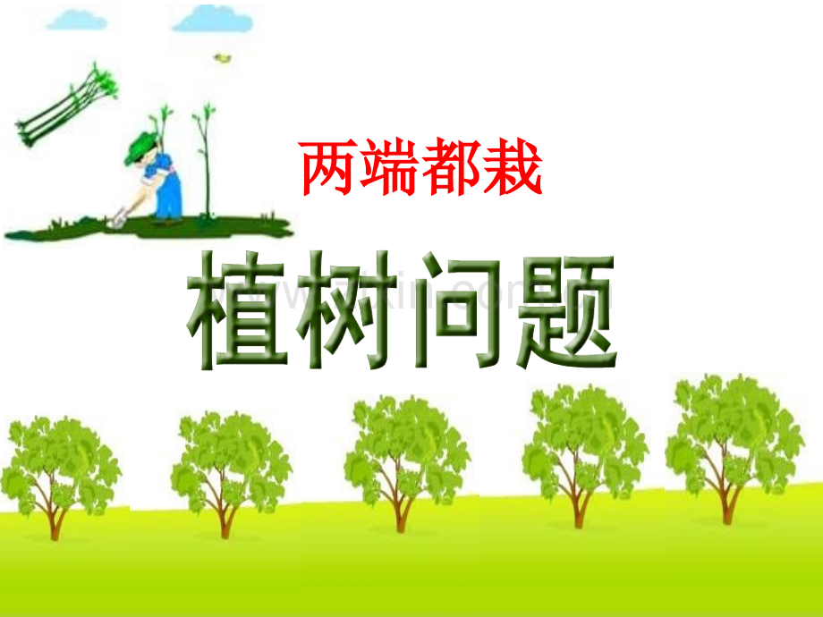 五年级数学广角植树问题两端都栽.pptx_第1页