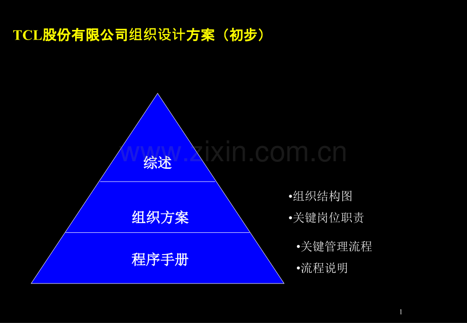 TCL股份组织结构设计方案.pptx_第1页