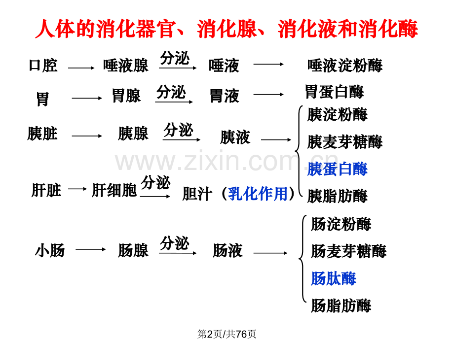 通过激素调件.pptx_第2页