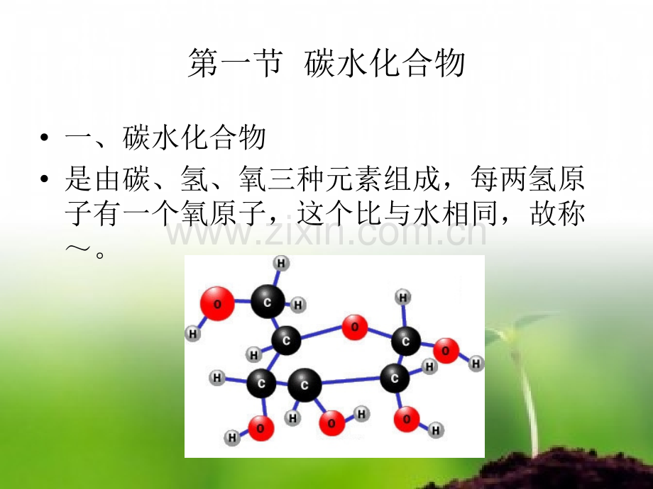 营养学碳水化合物.pptx_第2页