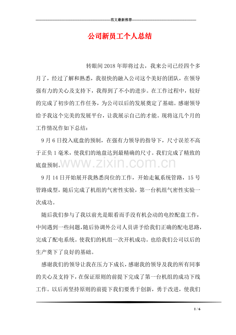 公司新员工个人总结.doc_第1页