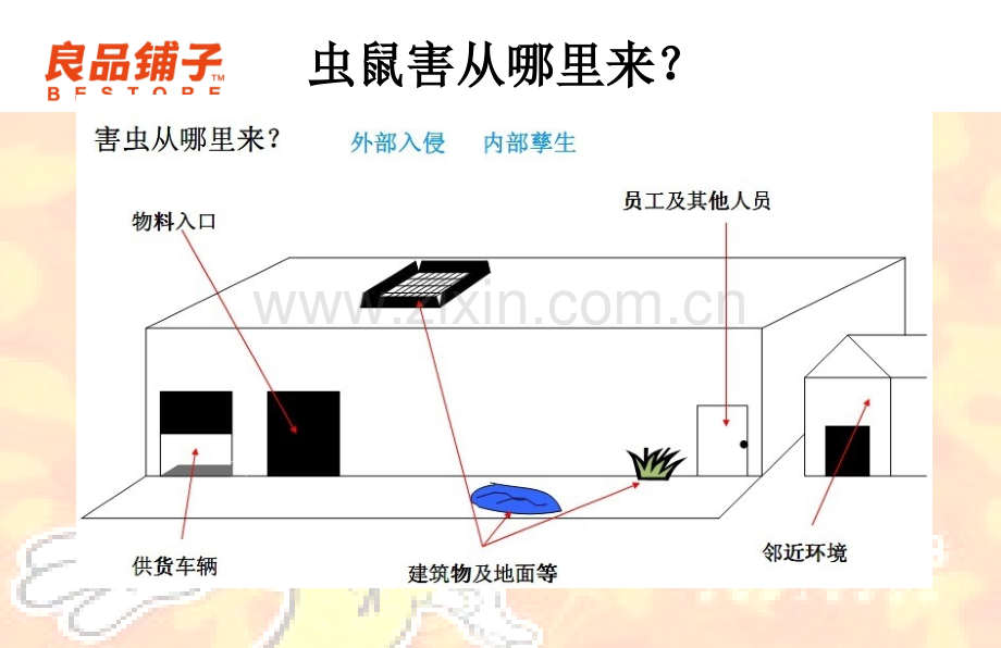 工厂虫鼠害综合防治方案.pptx_第3页