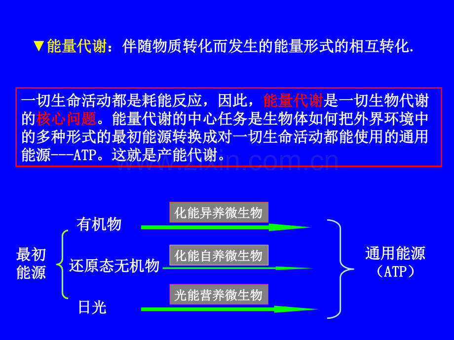 微生物代谢与调控.pptx_第3页