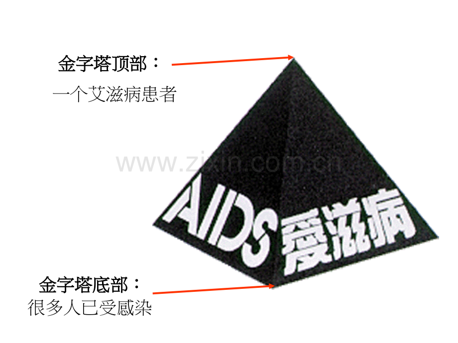 aids常见的传染病认识艾滋病.pptx_第3页