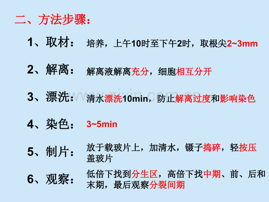 B孟德尔的豌豆杂交实验一习题和题型.pptx_第1页