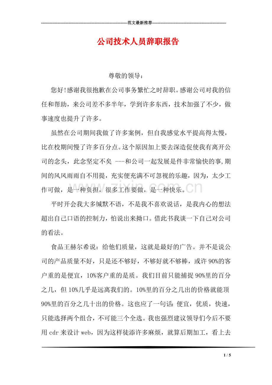 公司技术人员辞职报告.doc_第1页