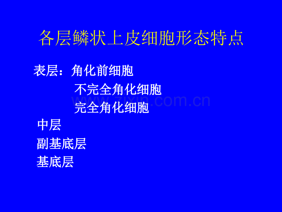 正常与炎症脱落细胞学形态.pptx_第3页