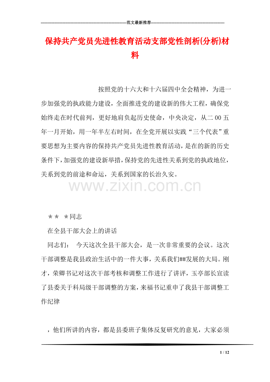 保持共产党员先进性教育活动支部党性剖析(分析)材料.doc_第1页