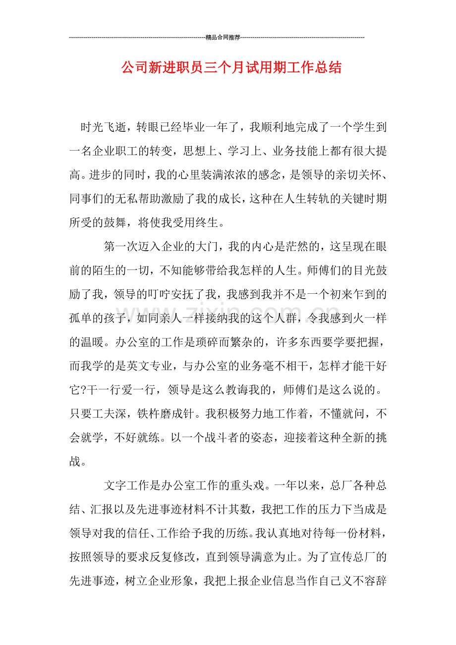 公司新进职员三个月试用期工作总结.doc_第1页