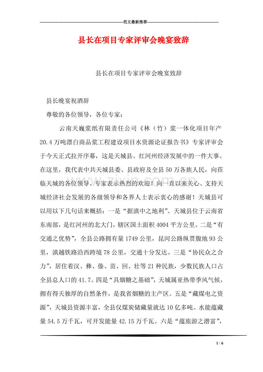 县长在项目专家评审会晚宴致辞.doc_第1页