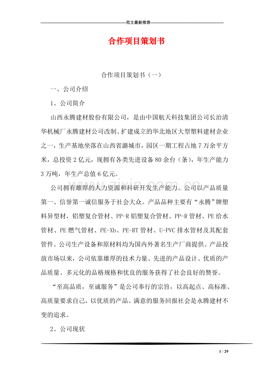 合作项目策划书.doc_第1页