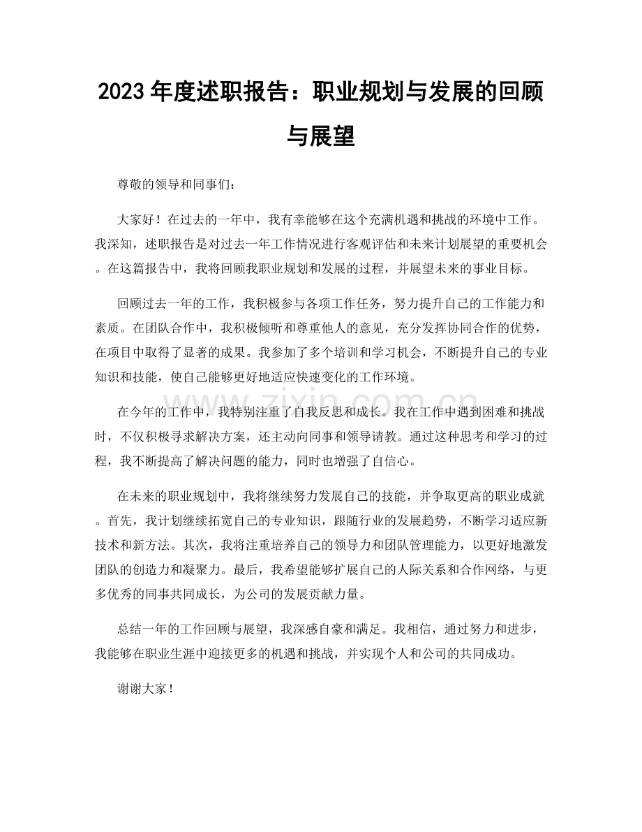 2023年度述职报告：职业规划与发展的回顾与展望.docx_第1页