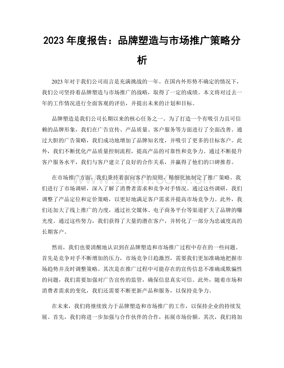 2023年度报告：品牌塑造与市场推广策略分析.docx_第1页