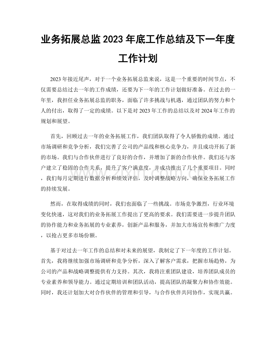 业务拓展总监2023年底工作总结及下一年度工作计划.docx_第1页