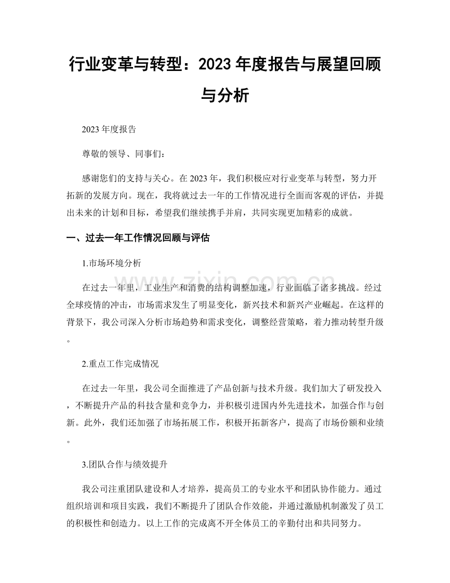 行业变革与转型：2023年度报告与展望回顾与分析.docx_第1页