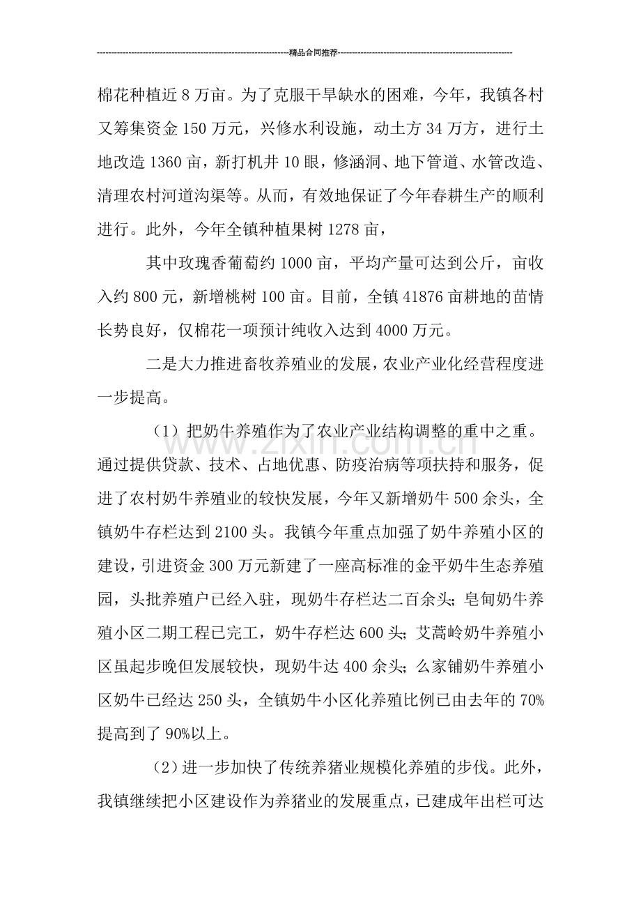 乡镇年终工作总结与计划.doc_第2页