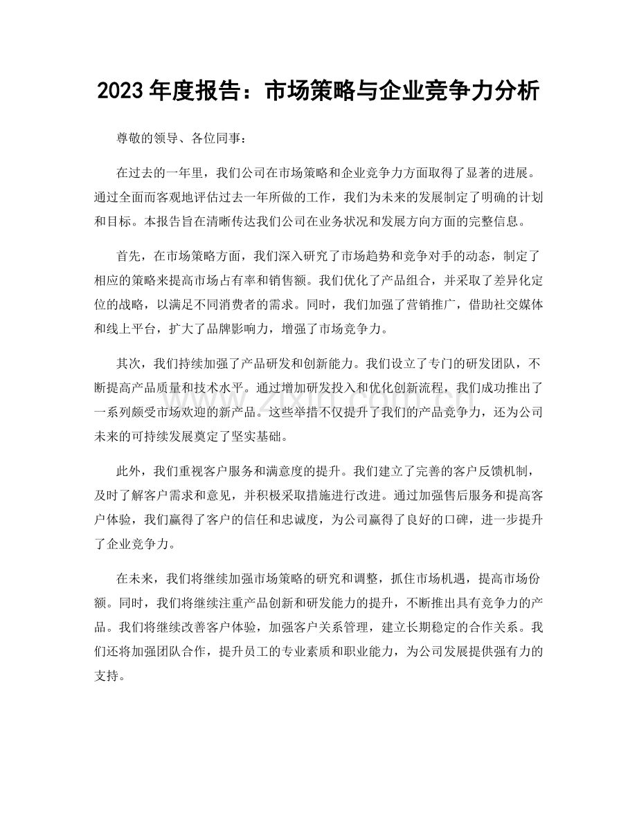 2023年度报告：市场策略与企业竞争力分析.docx_第1页