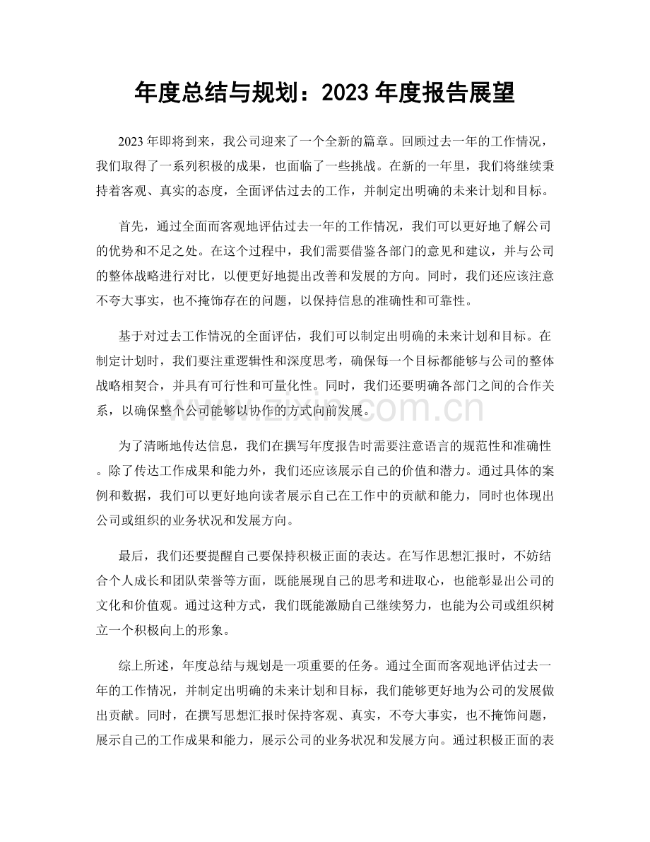 年度总结与规划：2023年度报告展望.docx_第1页