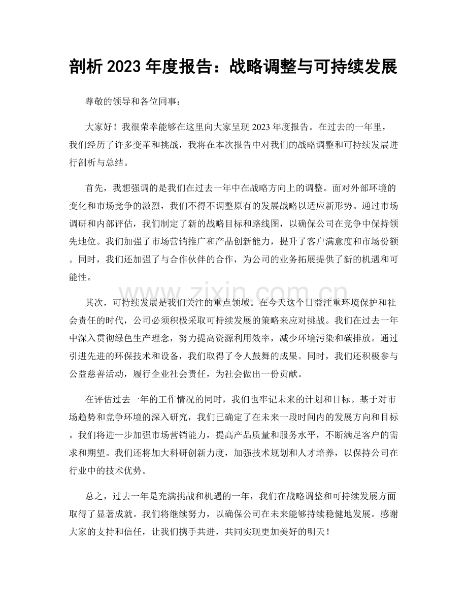 剖析2023年度报告：战略调整与可持续发展.docx_第1页