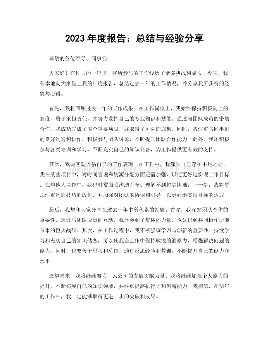 2023年度报告：总结与经验分享.docx_第1页