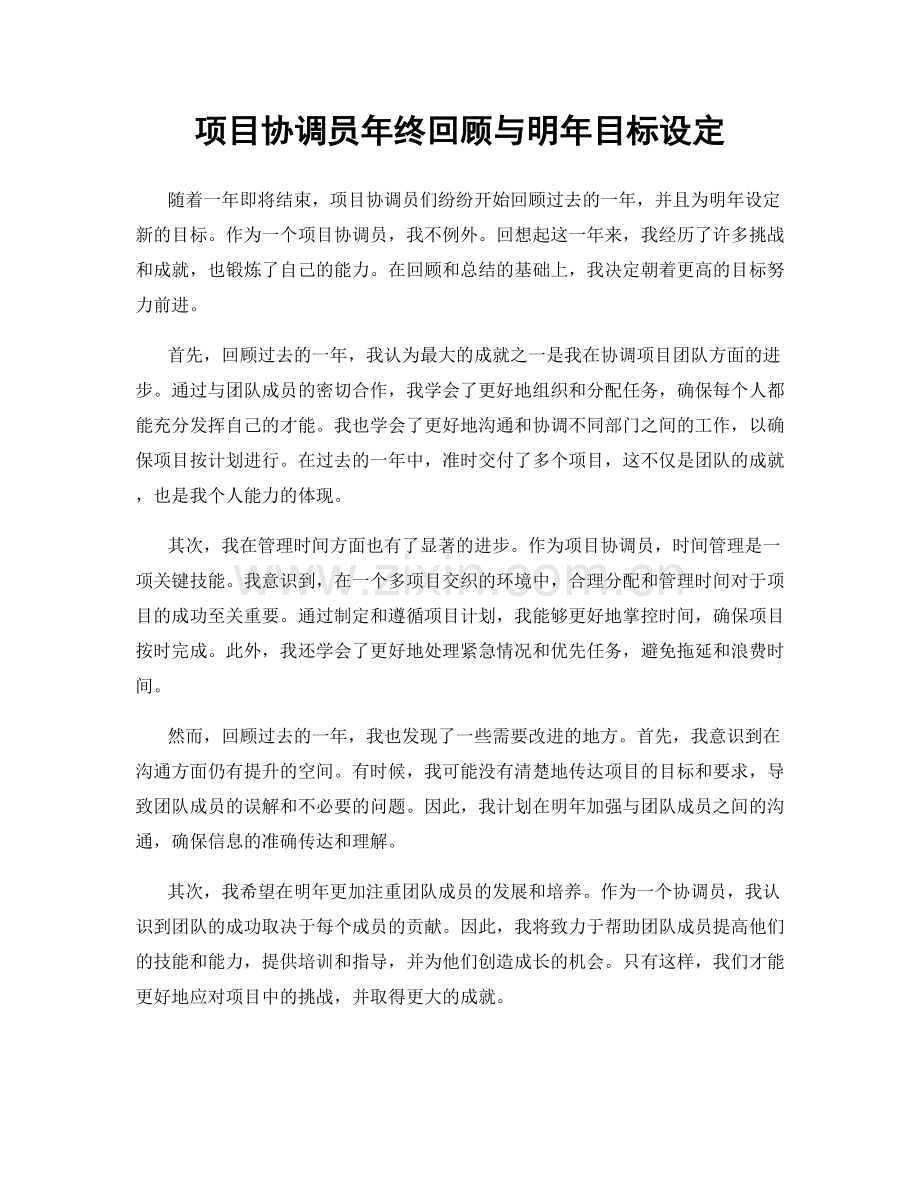 项目协调员年终回顾与明年目标设定.docx_第1页