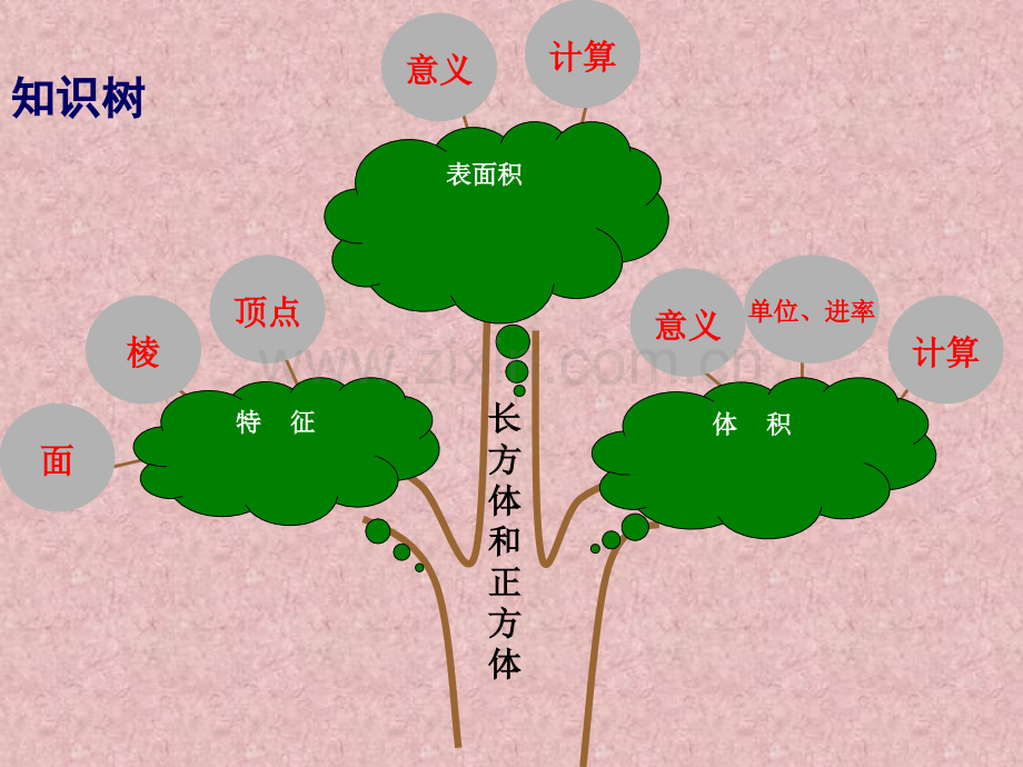 人教版五年级下长方体和正方体整理与复习PPT课件.pptx_第3页