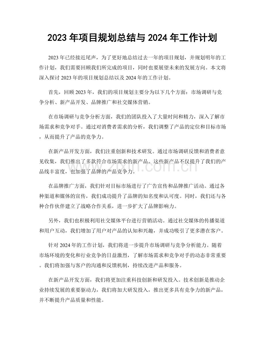 2023年项目规划总结与2024年工作计划.docx_第1页