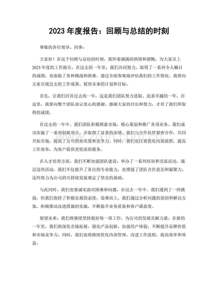 2023年度报告：回顾与总结的时刻.docx_第1页