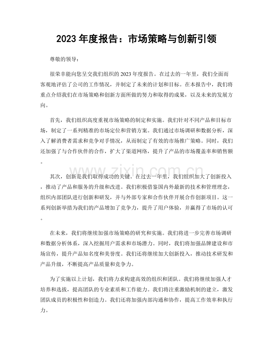 2023年度报告：市场策略与创新引领.docx_第1页