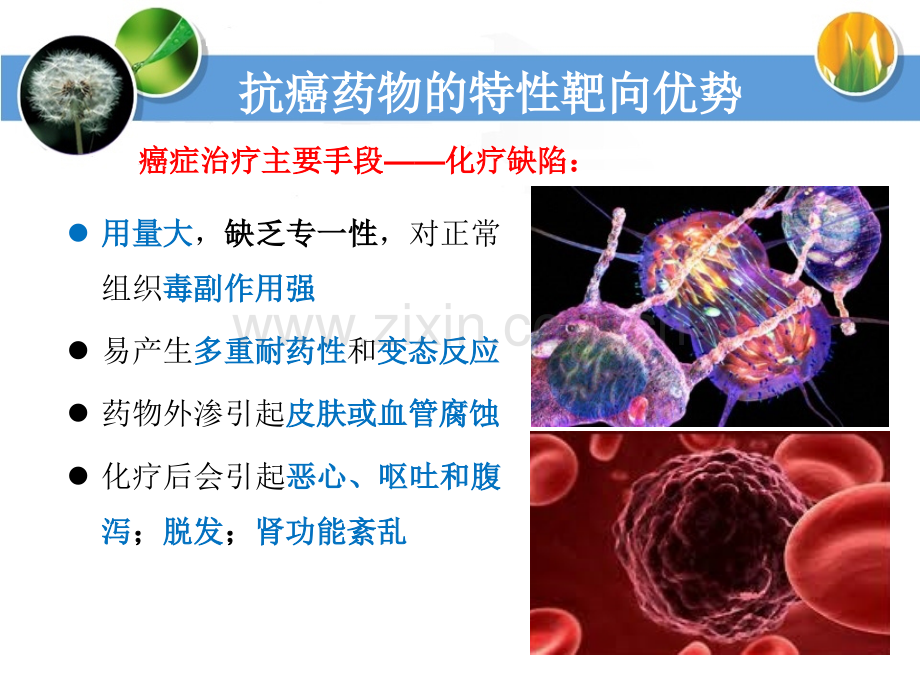 靶向药物在癌症治疗中的应用.pptx_第3页