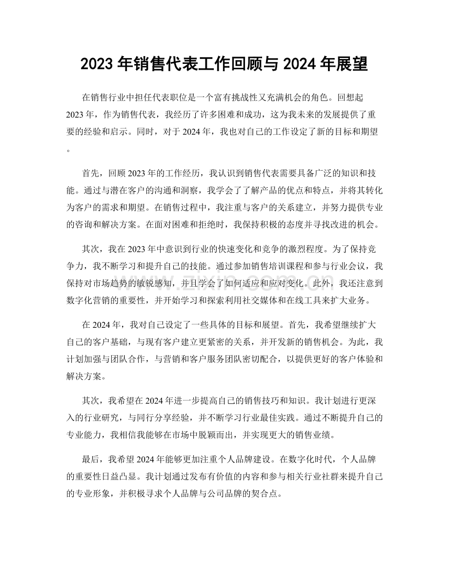 2023年销售代表工作回顾与2024年展望.docx_第1页