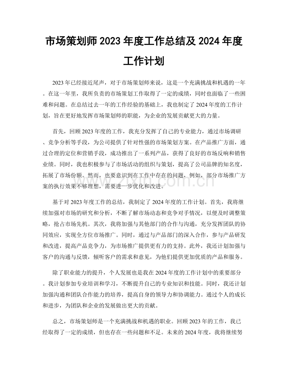 市场策划师2023年度工作总结及2024年度工作计划.docx_第1页